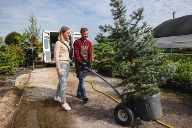 Trusted Baldwin, LA Tree Removal Experts